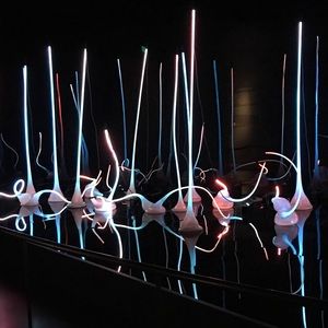 Meet your Posher, Jennine